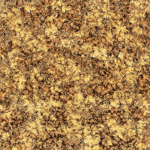 激情AV青青草陶2.0厚微晶石：浅金啡KFB88012单片