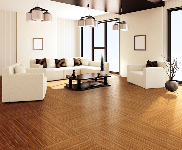 最美，不过当阳光遇上森林